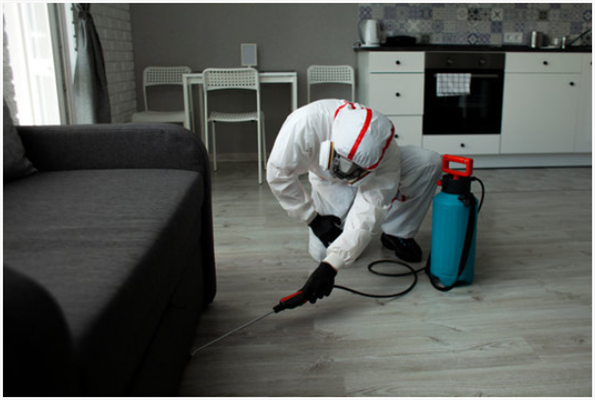 quarantine management services
