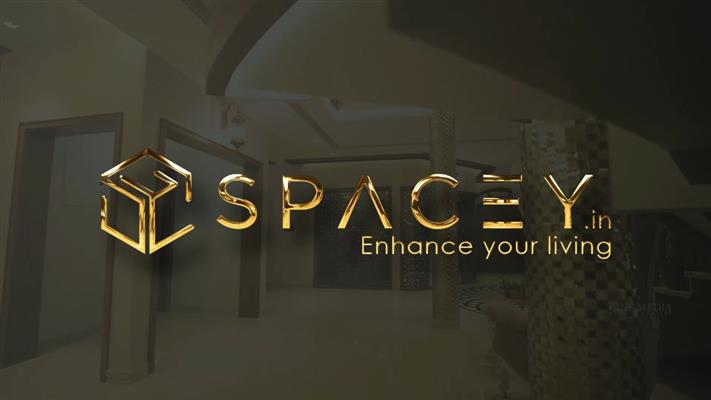 spacey interior designer