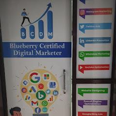 bcdm blueberry certified digital marketer
