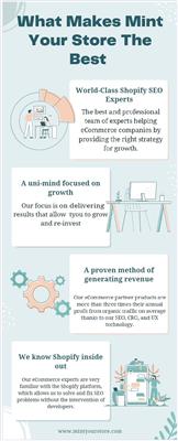 shopify seo services & marketing | mint your store