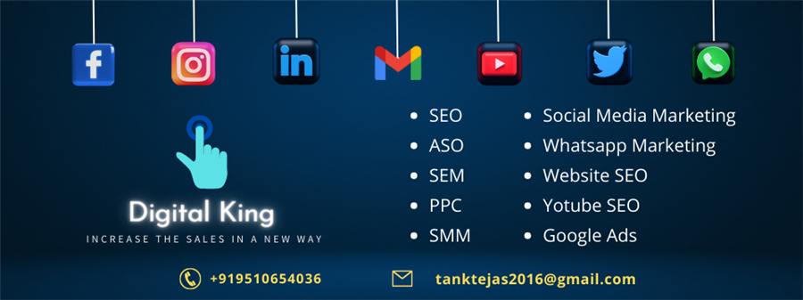 digi king - digital marketing agency consultant - company based services - rajkot