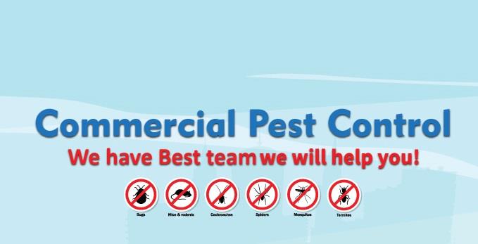 envocare pest control solution