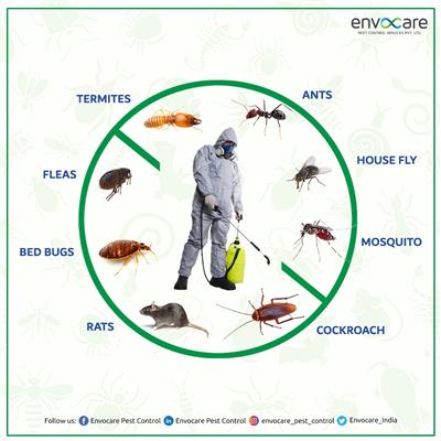 envocare pest control solution