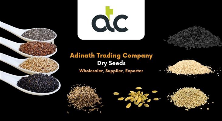 adinath trading company