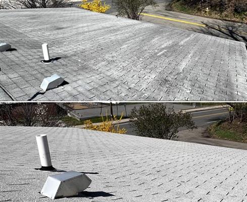 buildisa pressure washing