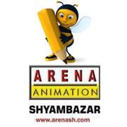 arena animation