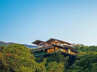the machan resort
