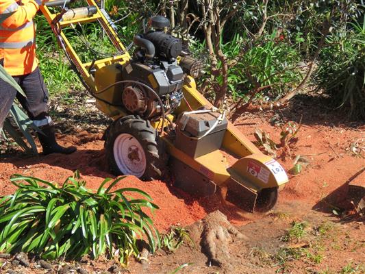 bay stump grinding