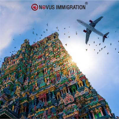 novus immigration