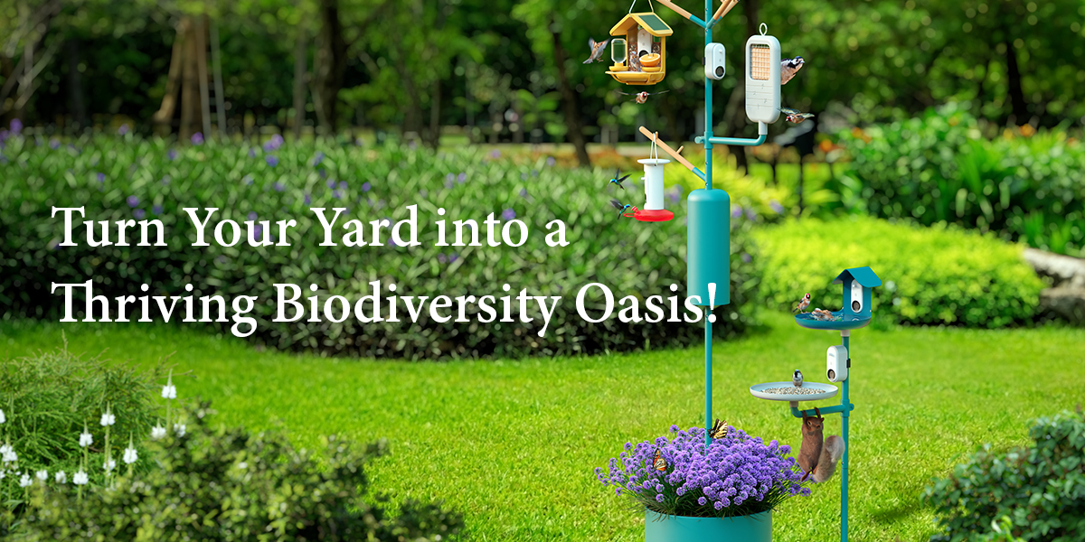 turn your yard into a thriving biodiversity oasis!