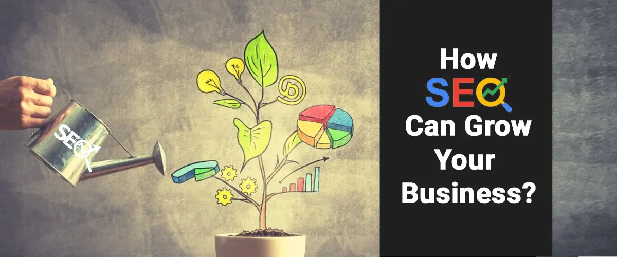 how seo can grow your business?