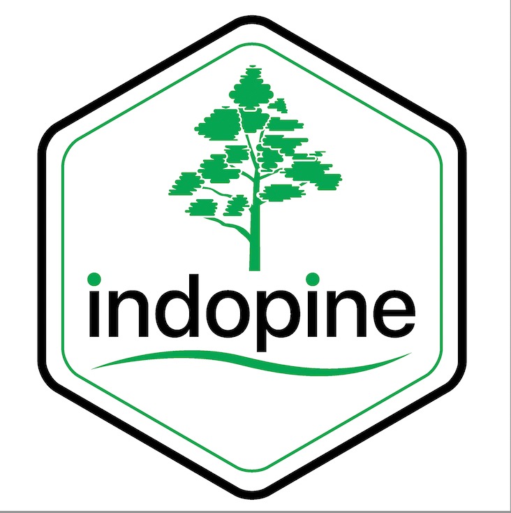 pt. nasco (indopine)
