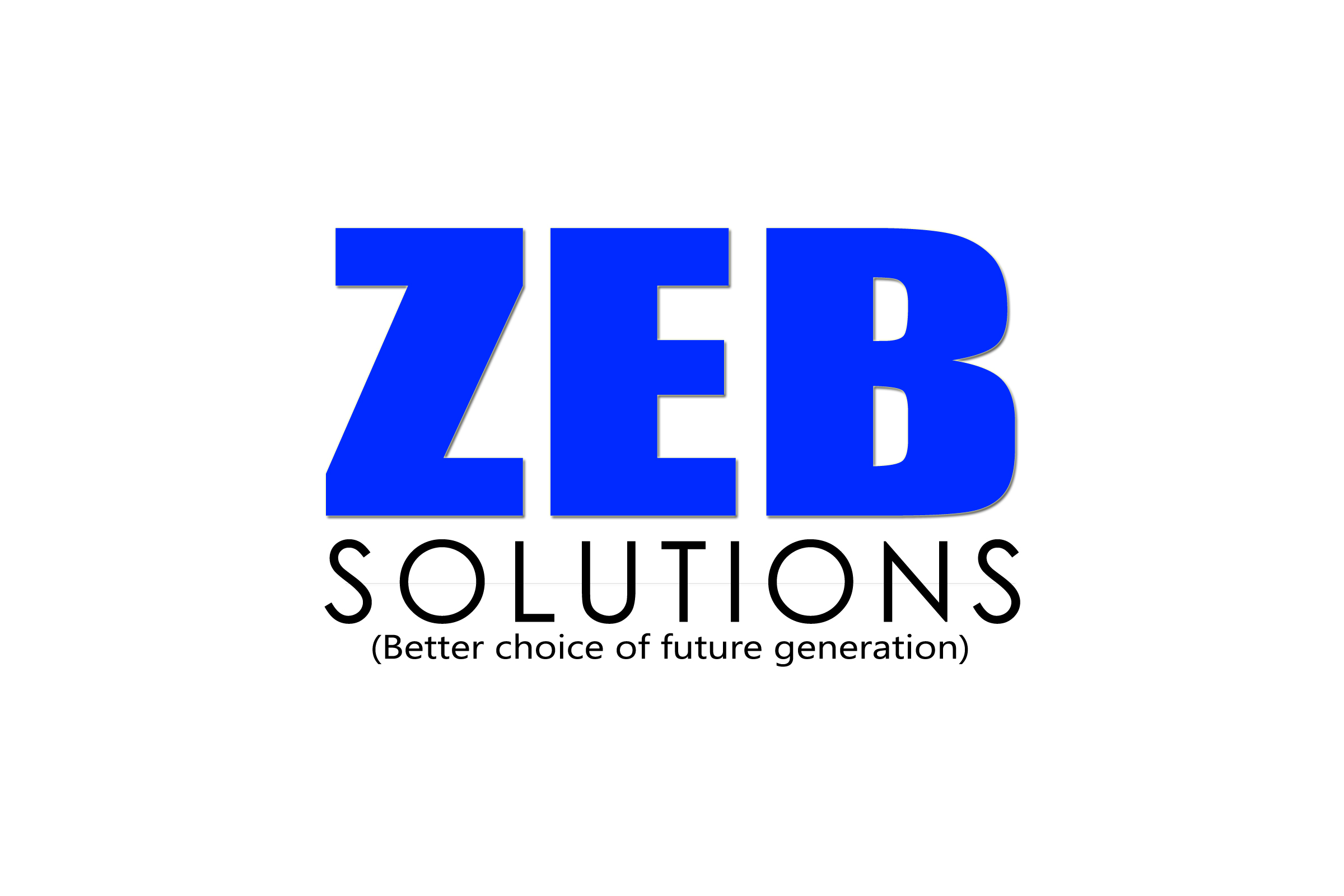 zebsolutions | seo services in hyderabad