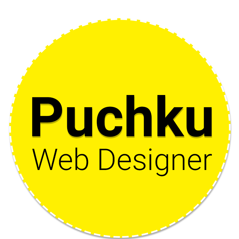 puchku web designer | website designing in ghaziabad