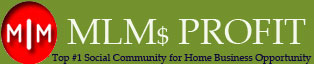 mlms profit | social networking community website in ahmedabad