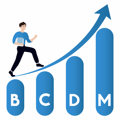 bcdm blueberry certified digital marketer | educational services in west delhi