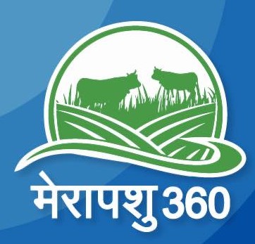merapashu 360 | pet services in gurugram