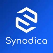 synodica solutions pvt. ltd. | business service in surat