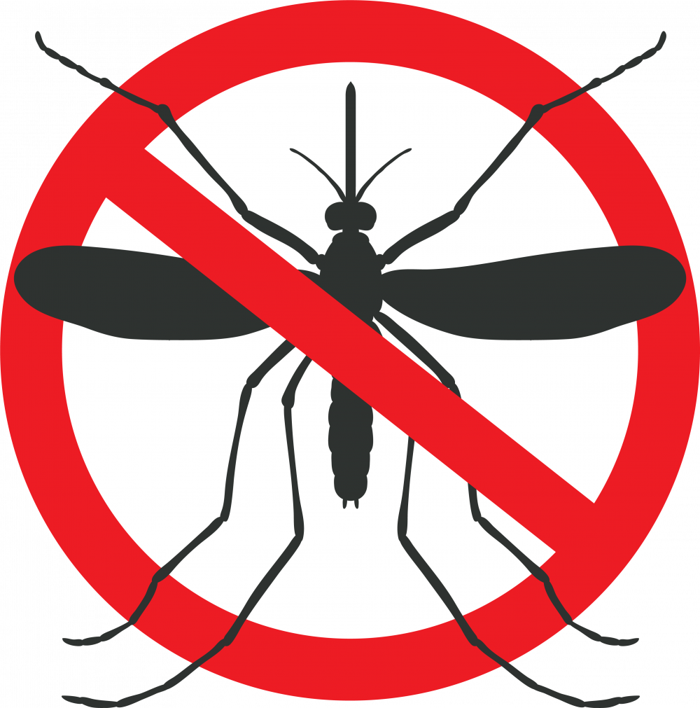 Pest Control Services Mosquito Nets Chennai King Mosquito Nets