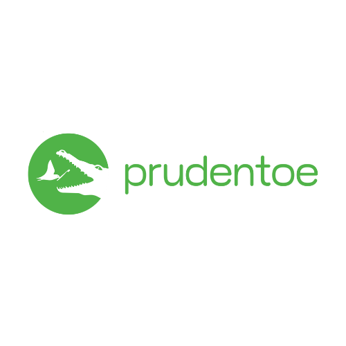 prudentoe dental | dental in secunderabad