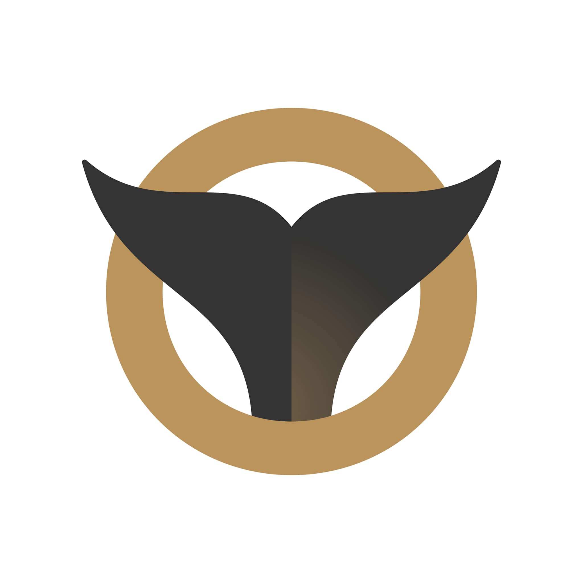 orca roofing & exteriors | construction consultant firm in bellevue