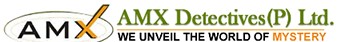 amx detective service | detective in new delhi