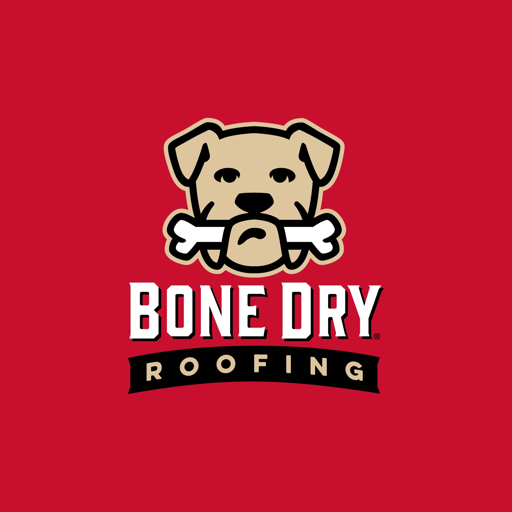 BONE DRY ROOFING