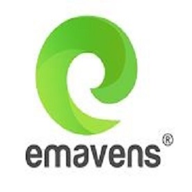 emaven solutions - website design& development | ecommerce solution | website development in noida
