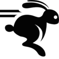 startup rabbit | digital marketing in vashi
