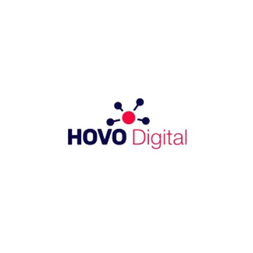 hovo digital | digital marketing in new delhi