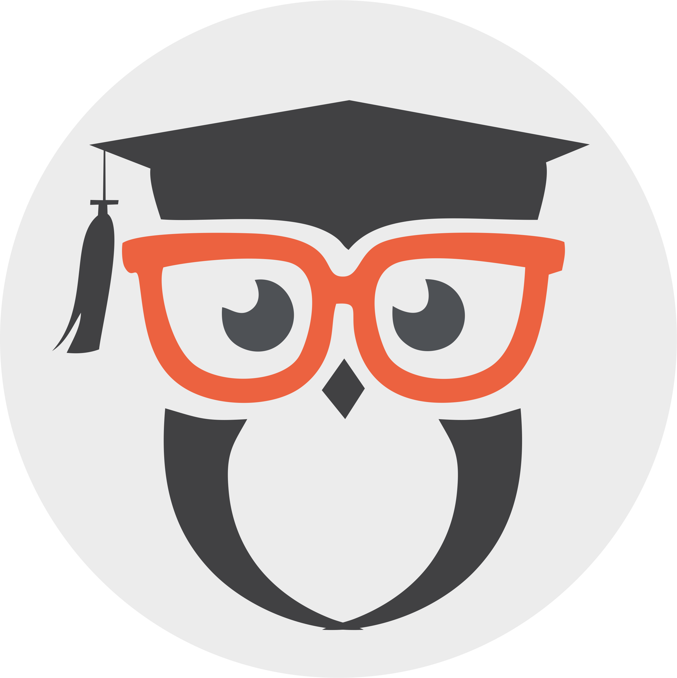 sikshapedia | education in noida
