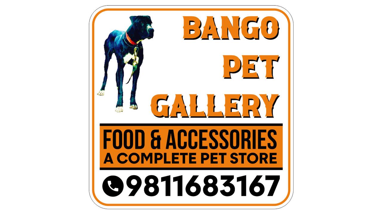 bango pet gallery | pet services in gurgaon