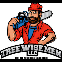 tree wise men llc | tree cutting services in janesville
