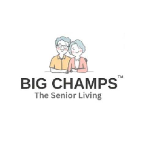 bigchamps | real estate in delhi