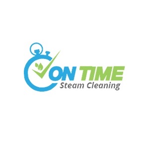 on time steam cleaning | carpet cleaning in brooklyn