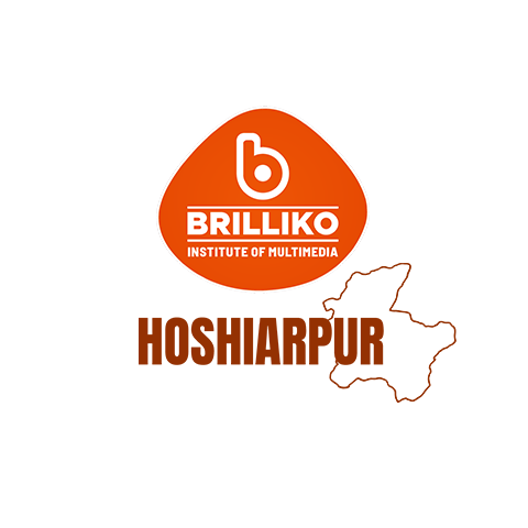 brilliko hoshiarpur | graphic design in hoshiarpur