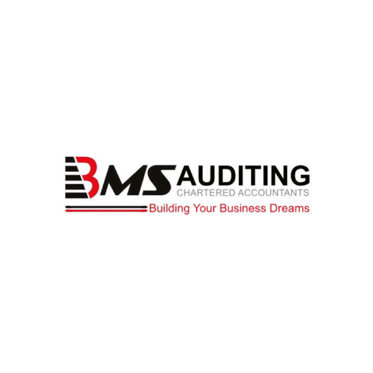 bms auditing | seo digital marketing in dubai