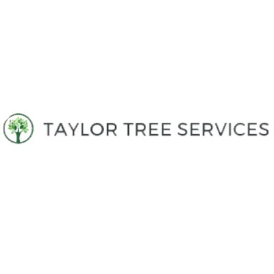 taylor tree services | cleaning services in abilene