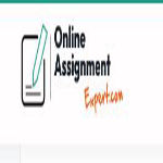 onlineassignmentexpert | accounting software in 454 guildford rd