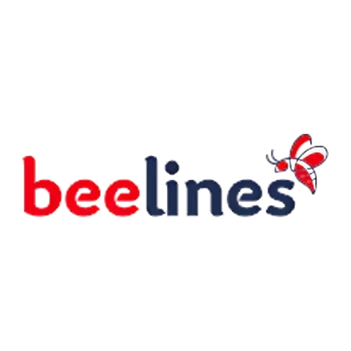 beelinesautomotive | e commerce in dallas