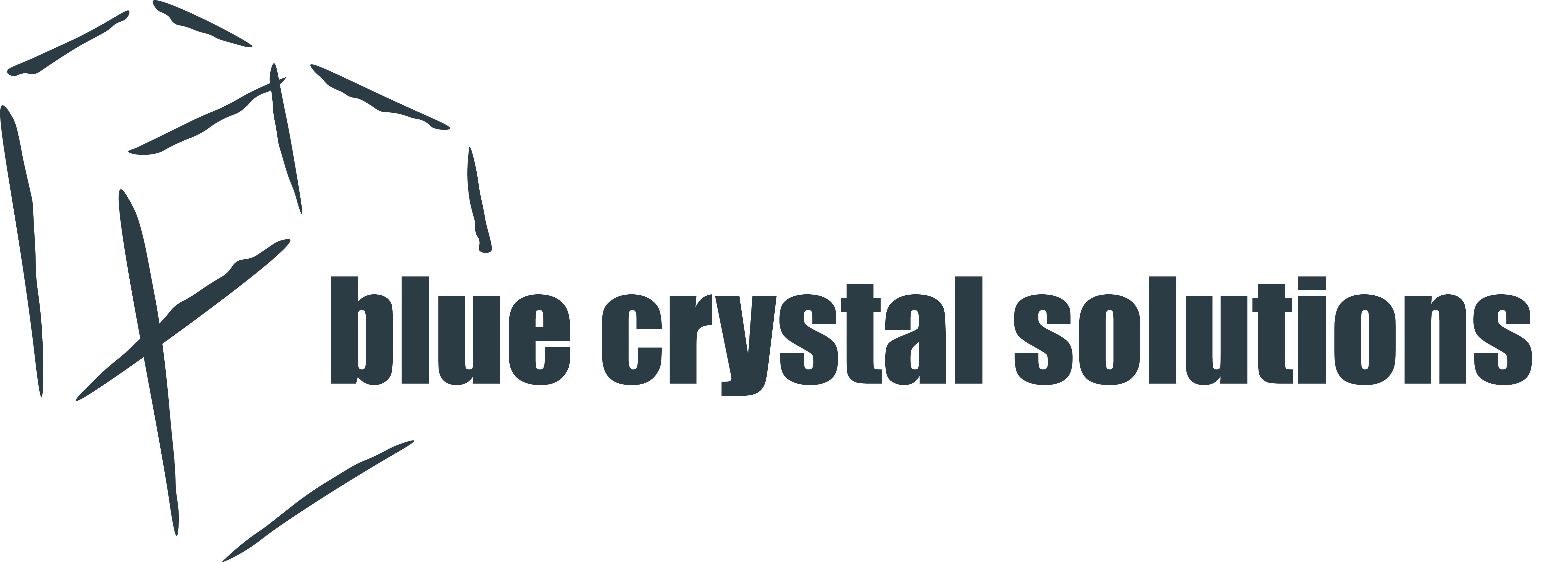 blue crystal solutions | it services in adelaide