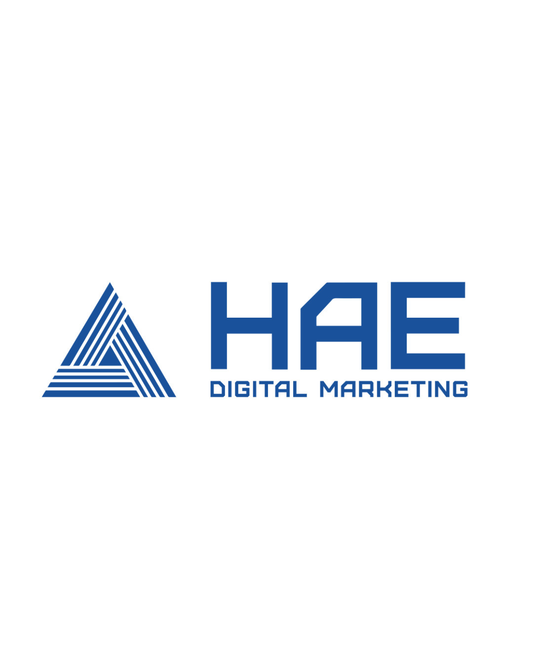 hae digital marketing | digital marketing in new delhi