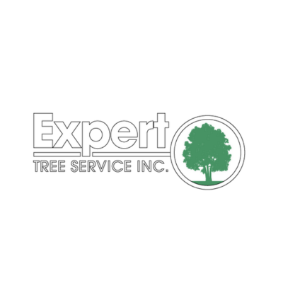 expert tree service, inc | tree cutting services in rochester, ny
