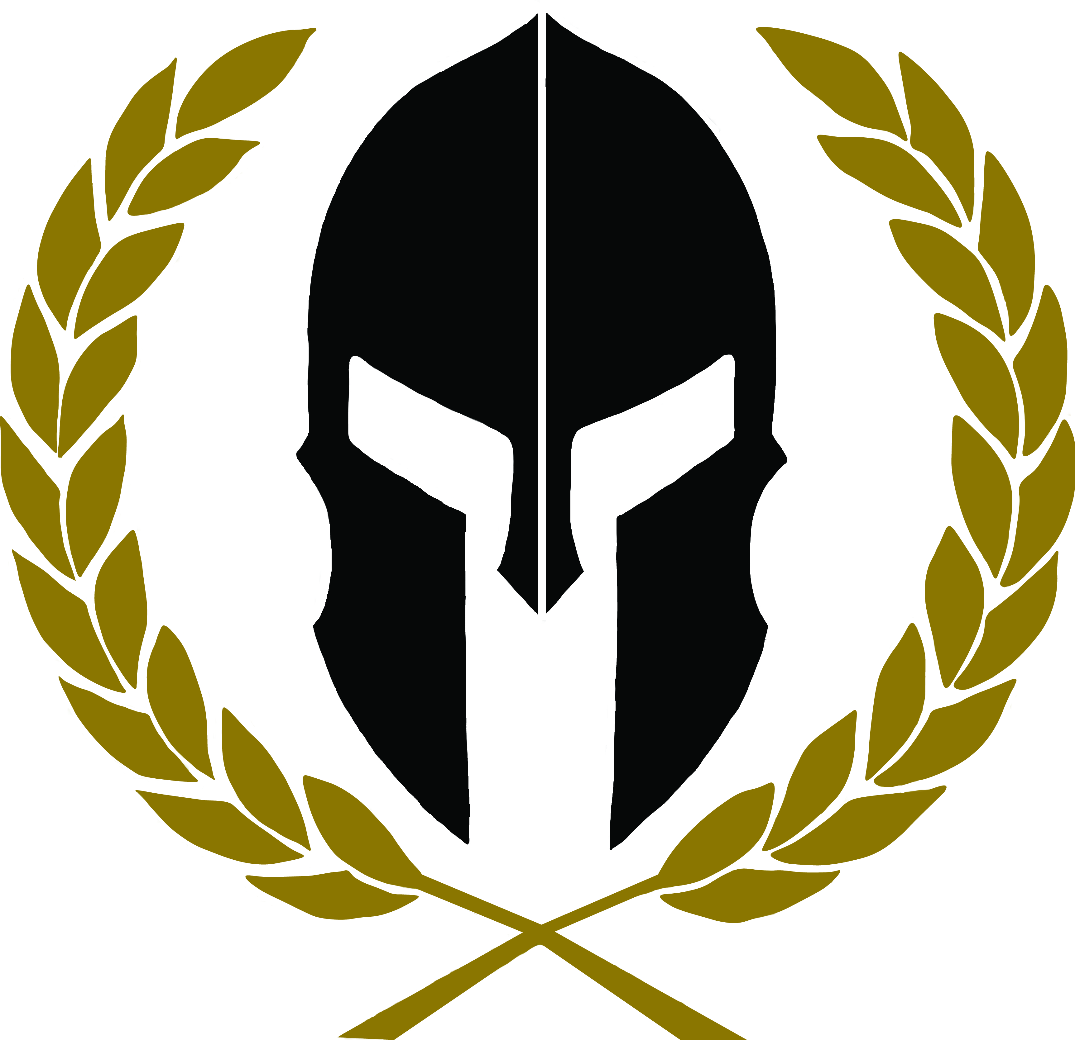 SAFETY AND RISK INTELLIGENCE