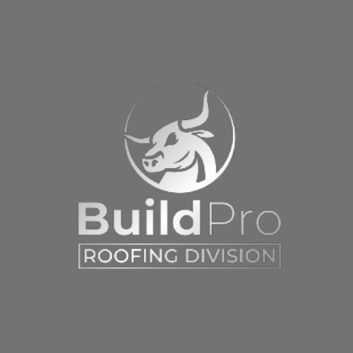 buildpro construction | construction in meridian