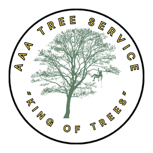 aaa 4 trees | tree cutting services in alexandria