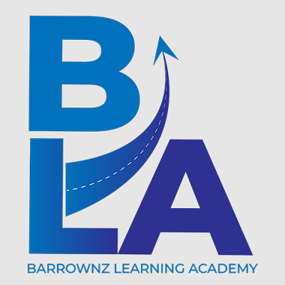 barrownz learning academy | digital marketing in lucknow
