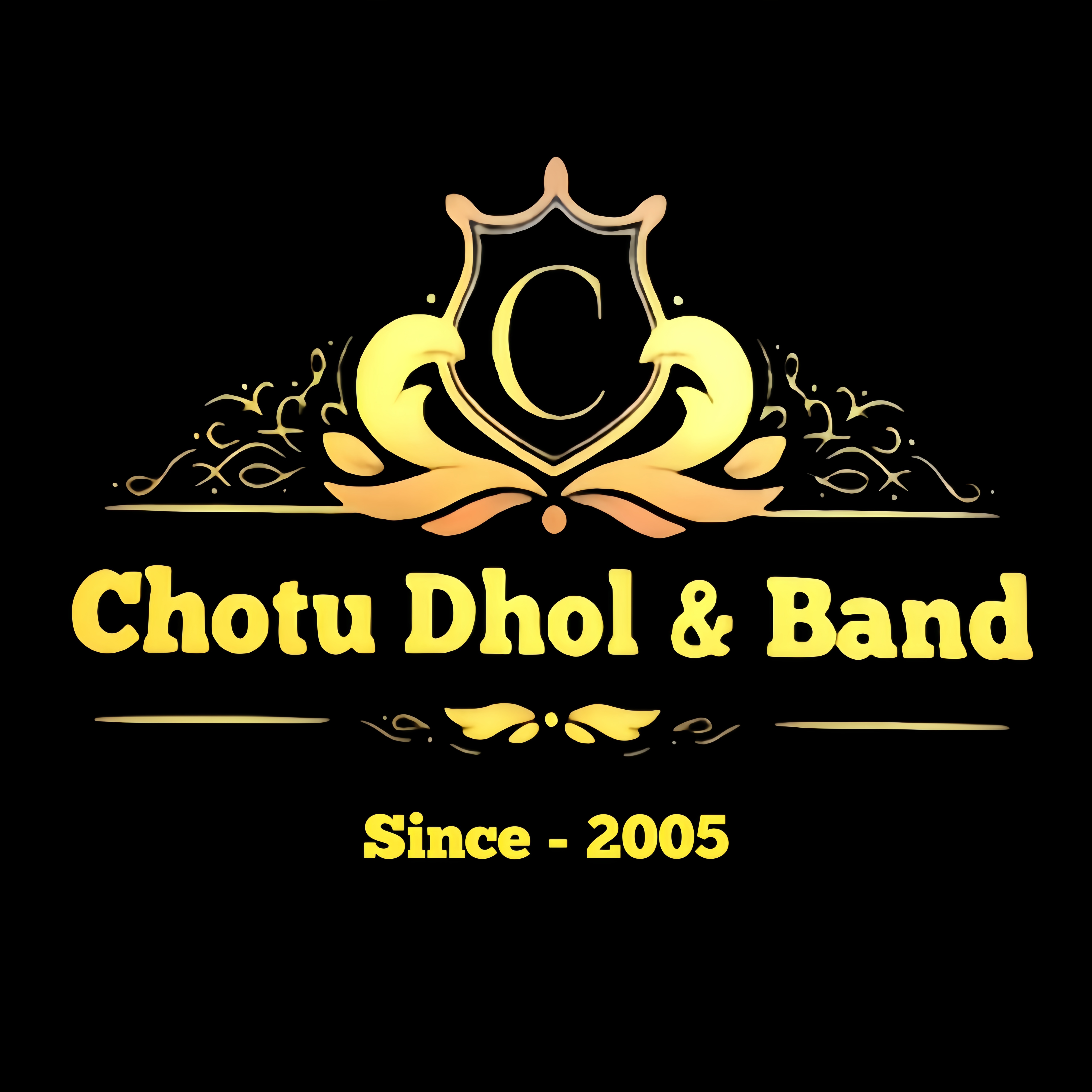 chotu dhol & band | entertainment in haldwani
