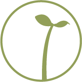 sprout cafe | restaurant in palo alto