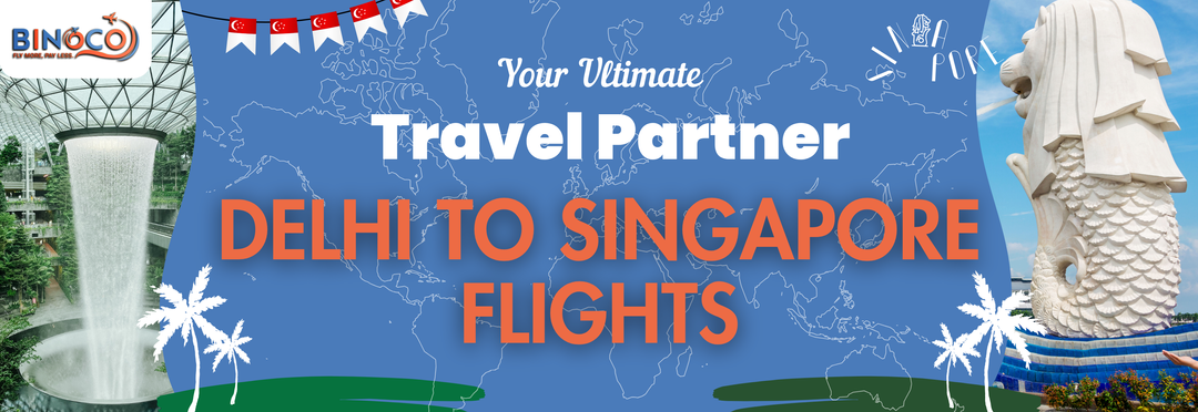 delhi to singapore flights |  in delhi